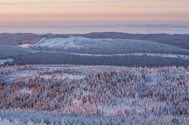 Deutschland, Sachsen-Anhalt, Sonnenaufgang im Nationalpark Harz im Winter - PVCF000442