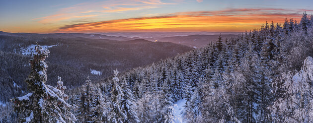 Germany, Saxony-Anhalt, Harz National Park, Landscape in winter at sunset - PVCF000455