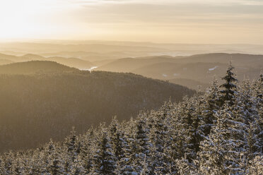 Deutschland, Sachsen-Anhalt, Nationalpark Harz, Landschaft im Winter bei Sonnenuntergang - PVCF000456