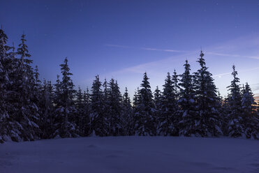 Germany, Saxony-Anhalt, Harz National Park, Landscape in winter, evening twilight - PVCF000461