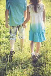 Bruder und Schwester gehen Hand in Hand über eine Wiese - SARF002020