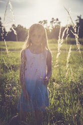 Little girl standing on a meadow at backlight - SARF002022