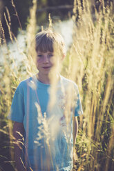 Little boy standing on a meadow at backlight - SARF002023