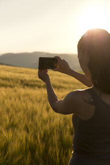 Germany, woman standing in front of a field at sunrise taking a picture with her smartphone - MIDF000501