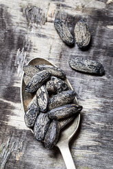 Spoon of tonka beans - SBDF002069