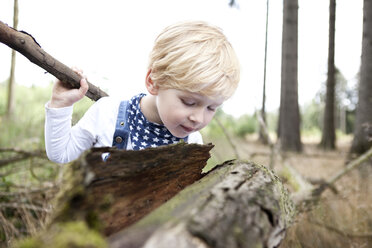 Germany, little boy discovering nature - MFRF000231