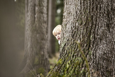 Kleiner Junge versteckt sich hinter einem Baumstamm - MFRF000232