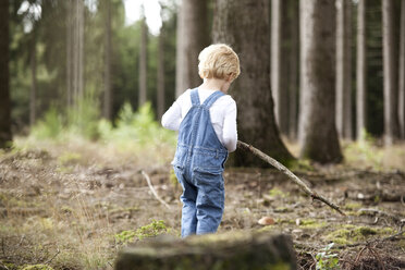 Kleiner Junge mit Ast beim Spielen im Wald - MFRF000236