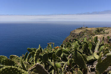 Portugal, Madeira, Blick auf die Küste - FDF000097