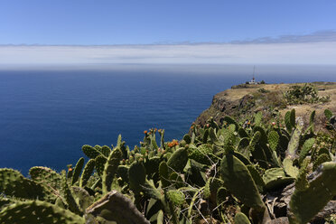 Portugal, Madeira, View to coast - FDF000097