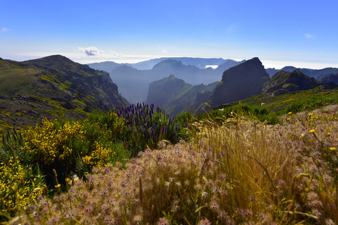 Portugal, Madeira, Pico Ruivo - FDF000119