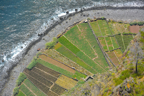 Portugal, Madeira, Cabo Girao, view down to terrace fields and beach stock photo