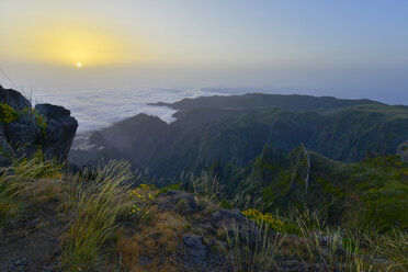 Portugal, Madeira, Sunrise - FDF000116