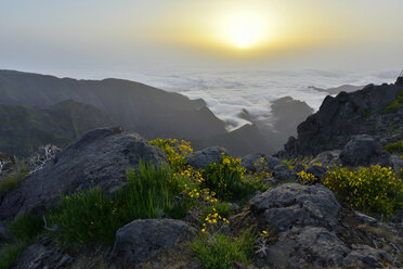 Portugal, Madeira, Sunrise - FDF000110