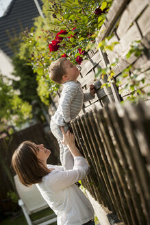 Little boy smelling flowers - PAF001449