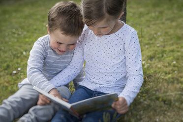 Mädchen und ihr kleiner Bruder sitzen auf einer Wiese mit einem Bilderbuch - PAF001458