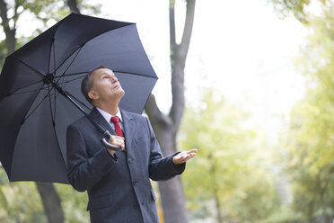 Geschäftsmann in einem Park mit Regenschirm, der das Wetter prüft - WESTF021347