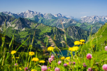 Deutschland, Bayern, Allgäuer Alpen, Blick vom Zeigersattel zum Seealpsee - WGF000676