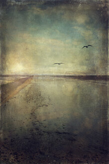Germany, wadden sea at low tide and flying birds, textured effect - DWIF000531