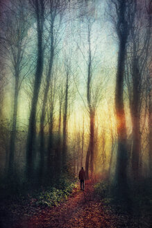Mann auf Waldweg bei Sonnenuntergang, digital manipuliert - DWIF000539