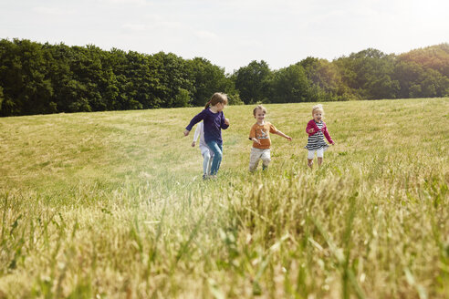 Vier kleine Kinder laufen auf einer Wiese - STKF001320