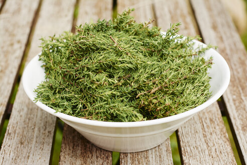 Bowl of freshly harvested common thyme - HAWF000813