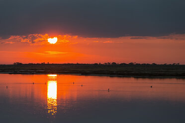 Namibia, Etosha National Park, sunrise at Fisher's Pan - FOF008108