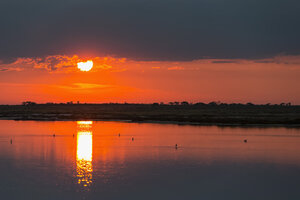 Namibia, Etosha-Nationalpark, Sonnenaufgang bei Fisher's Pan - FOF008108