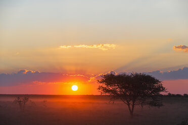 Namibia, Etosha-Nationalpark, Sonnenuntergang - FOF008111
