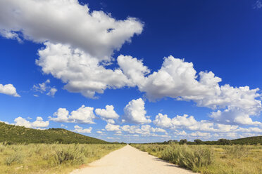 Namibia, Etosha National Park, view to empty gravel road - FOF008113