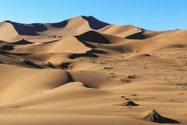 Afrika, Namibia, Namib-Wüste, Blick auf Wüstendünen im Namib-Naukluft-Nationalpark - FO008150
