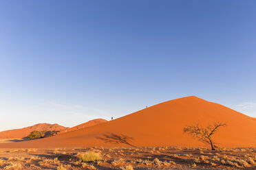 Namibia, Namib-Wüste, Namib-Naukluft-Nationalpark, Touristen auf Wüstendüne - FOF008178