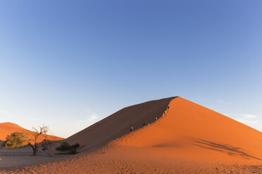 Namibia, Namib-Wüste, Namib-Naukluft-Nationalpark, Reisegruppe beim Aufstieg auf eine Wüstendüne - FOF008179