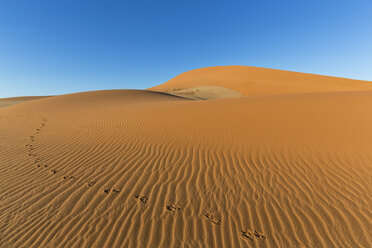 Namibia, Namib Desert, Namib Naukluft National Park, tracks of gemsbok in the sand of a dune - FOF008172