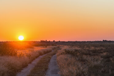 Botswana, Kalahari, Zentral Kalahari Wildschutzgebiet, Piste bei Sonnenaufgang - FOF008268