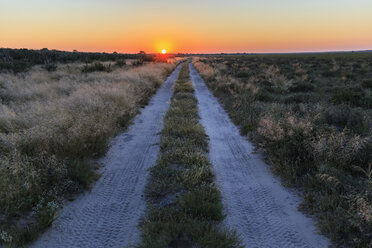 Botswana, Kalahari, Zentral Kalahari Wildschutzgebiet, Piste bei Sonnenaufgang - FOF008277