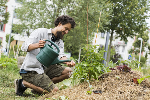 Young man watering plants - SGF001757