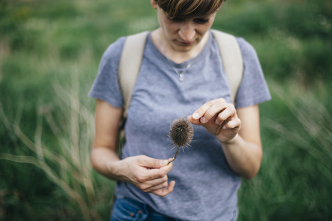 Junge Frau mit Distel, lizenzfreies Stockfoto