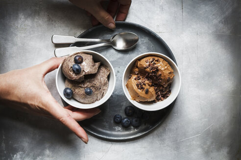 Bowls of vegan blueberry banana and chocolate banana ice cream - EVGF001961