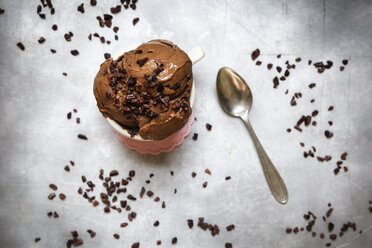 Cup of vegan chocolate banana ice cream decorated with cacao nibs - EVGF001965