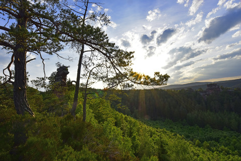 Germany, View to Palatinate Forest against the sun stock photo