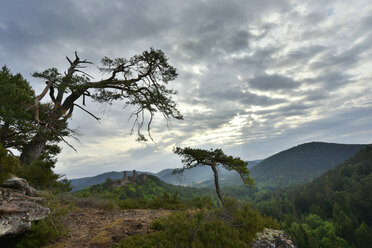 Deutschland, Pfälzerwald, Beobachtungspunkt - FDF000128