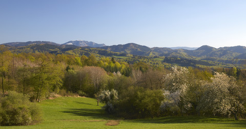 Deutschland, Baden-Württemberg, bei Freiburg, Breisgau, Schwarzwald, Blick vom Schönberg zum Belchen, lizenzfreies Stockfoto