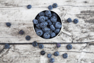 Cup of blueberries - LVF003697