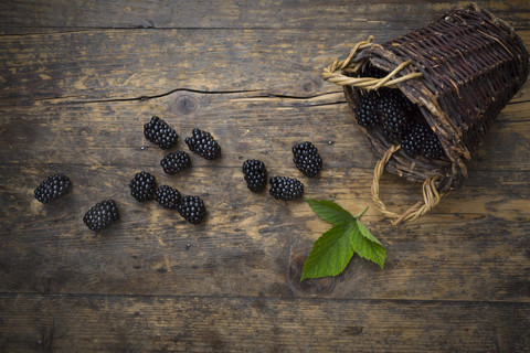 Wickerbasket. blackberries and a leaf on wood stock photo