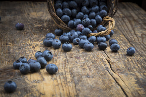 Blueberries on wood - LVF003688