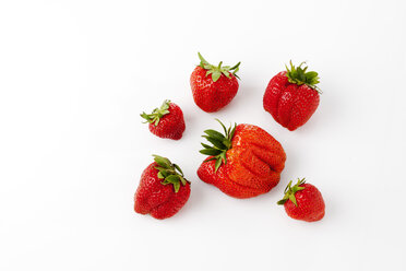 Strawberries, Fragaria - CSF025876