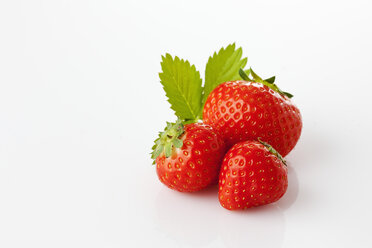 Erdbeeren, Fragaria, Blatt - CSF025835