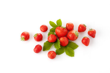 Erdbeeren, Fragaria - CSF025837