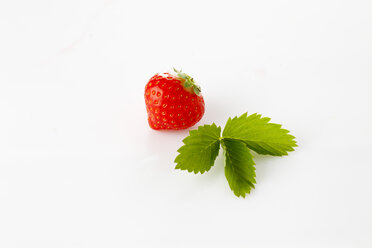 Erdbeeren, Fragaria, Blatt - CSF025843